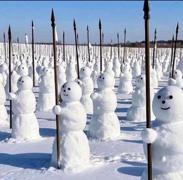 Screenshot_20241231-101609