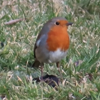 Screenshot_20250310_162415_Gallery