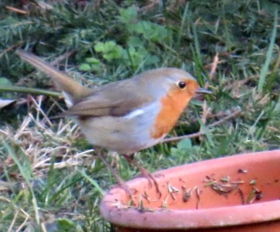 Screenshot_20250310_162447_Gallery