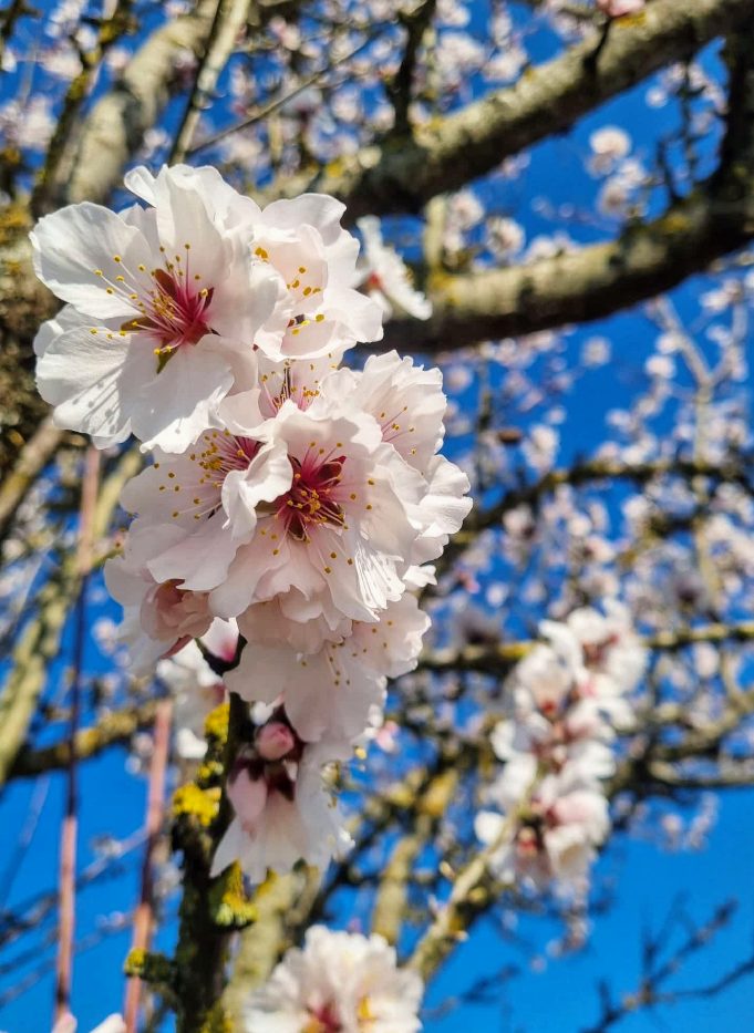 Screenshot_20250316-191852