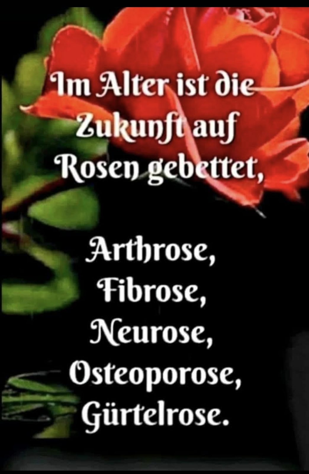 Screenshot_20250523_110547_WhatsApp