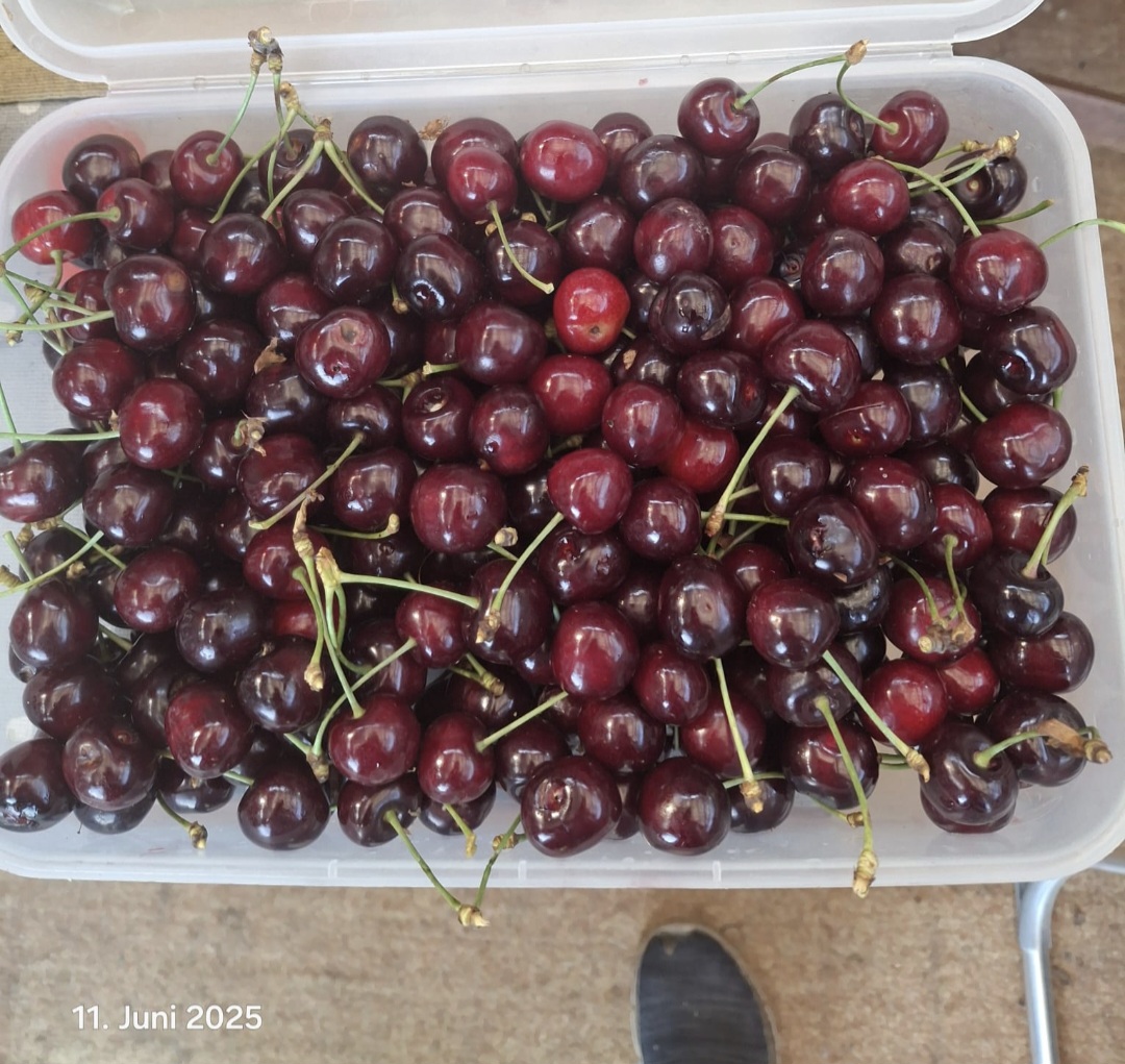 Screenshot_20250611_195847_Gallery