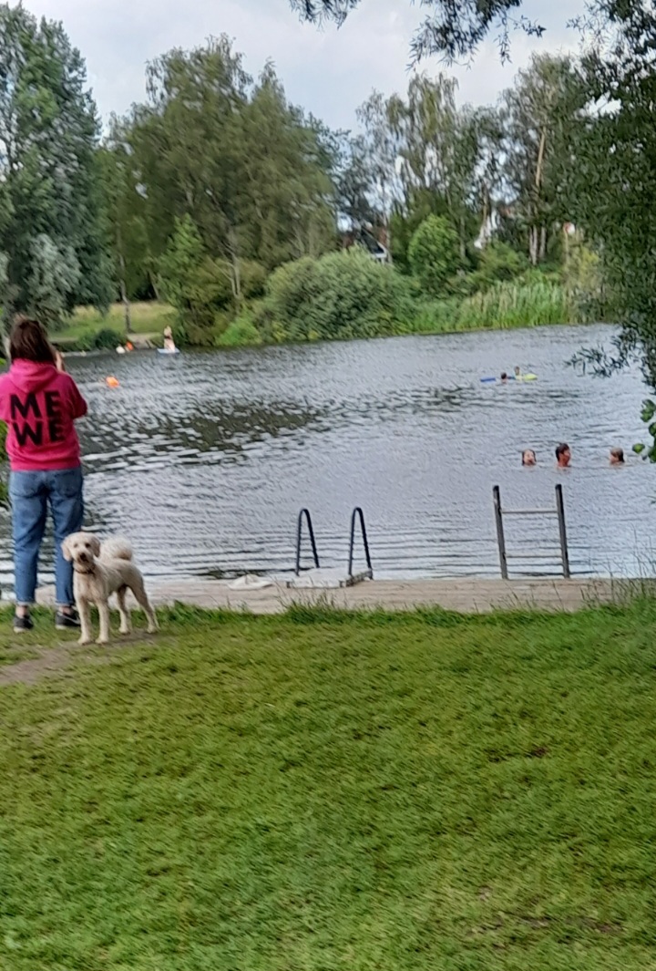 Screenshot_20250727_182941_Gallery