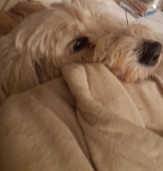 Screenshot_20250829_215541_Gallery