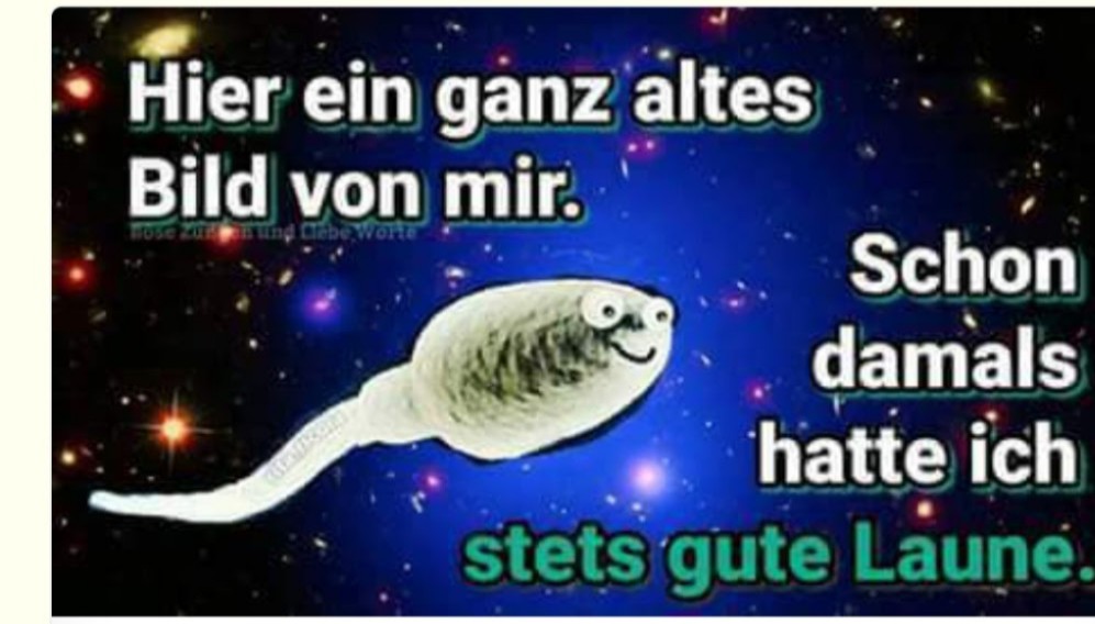 Screenshot_20250917_204126_Photos