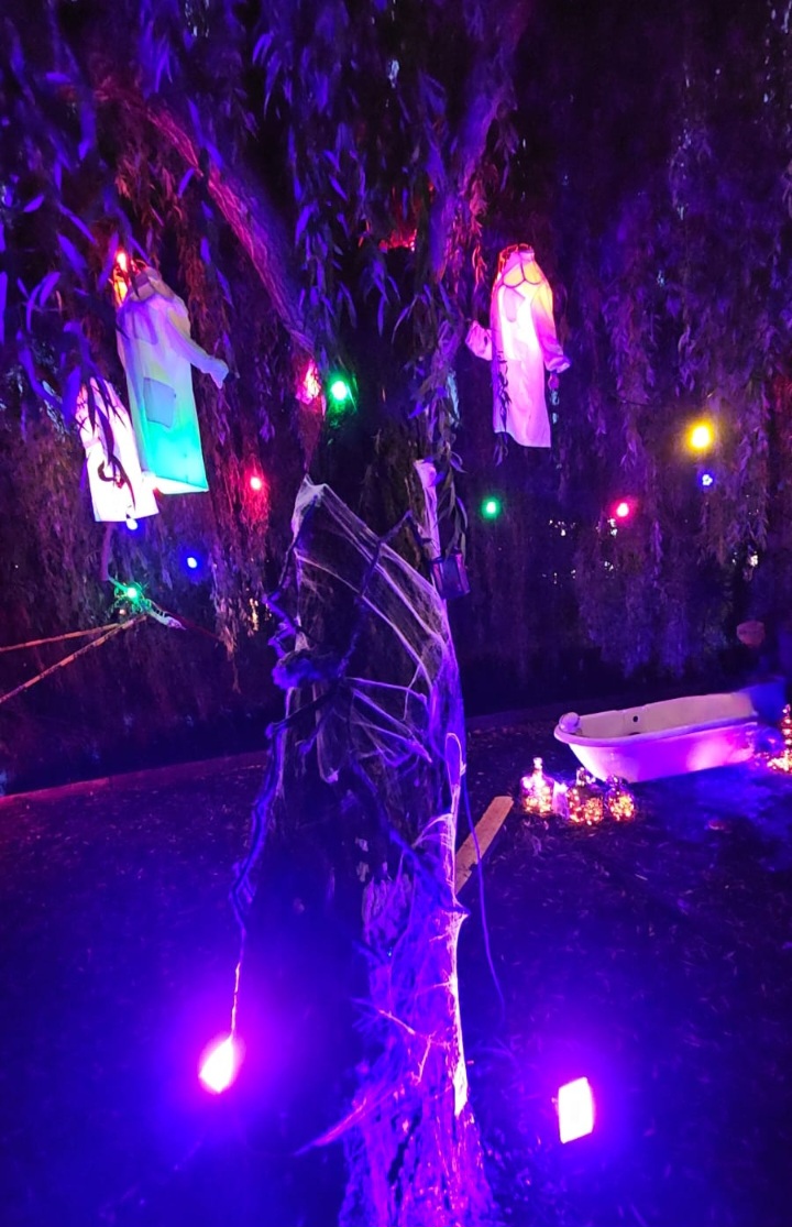 Screenshot_20250918_215013_WhatsApp