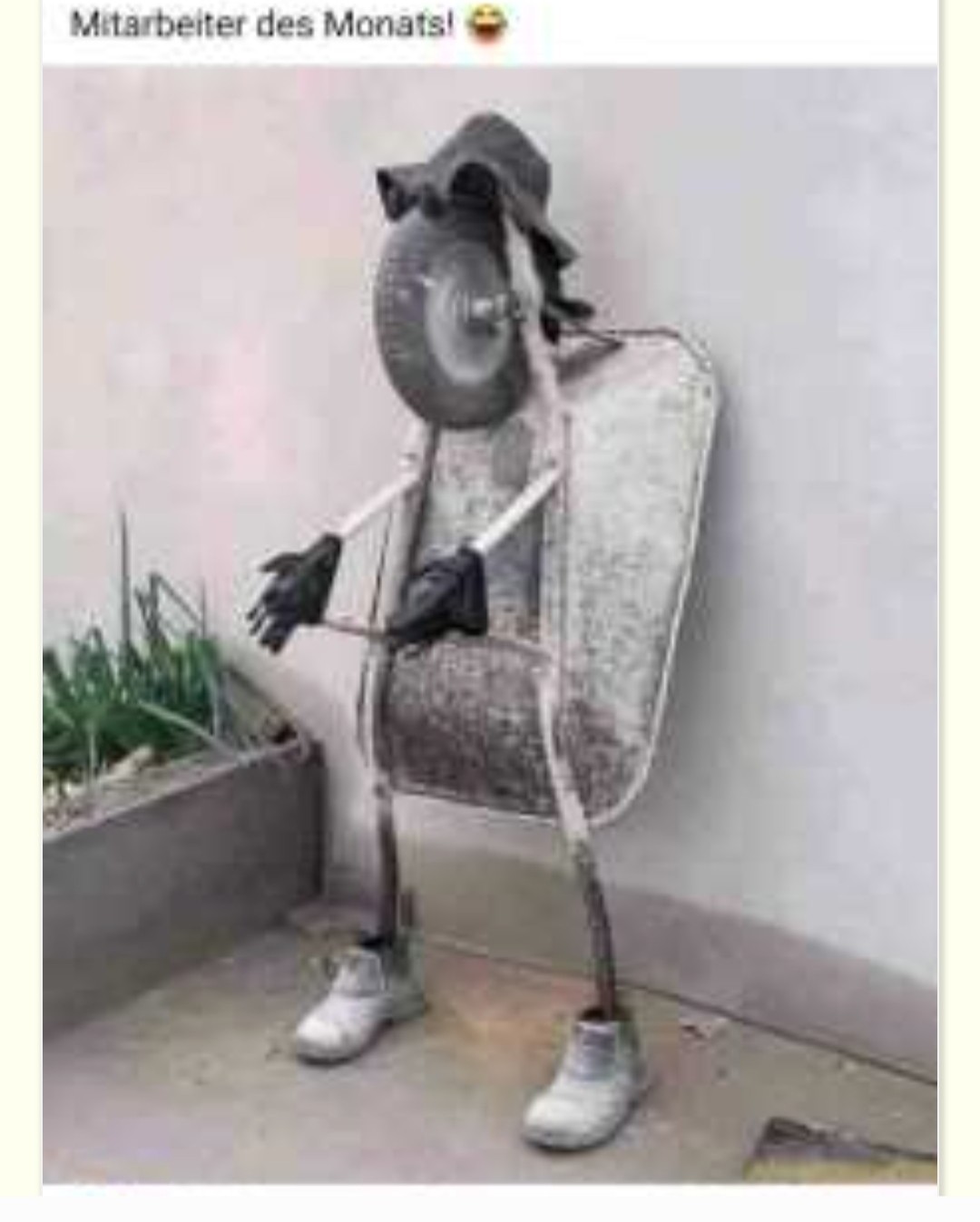 Screenshot_20251002_121531_Gallery