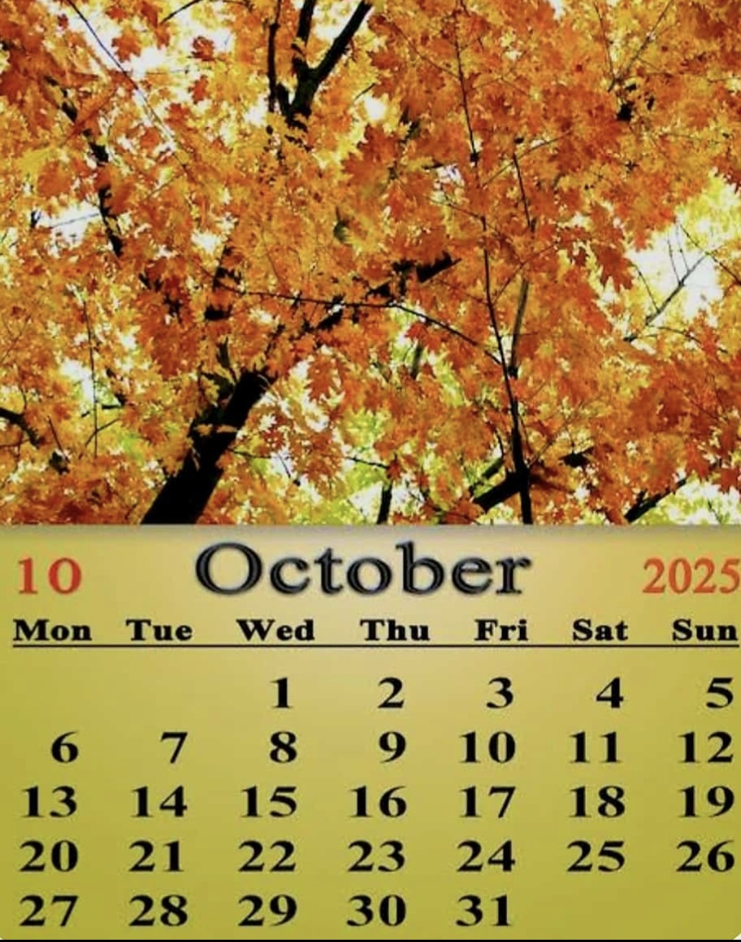 Screenshot_20251010_115709_WhatsApp