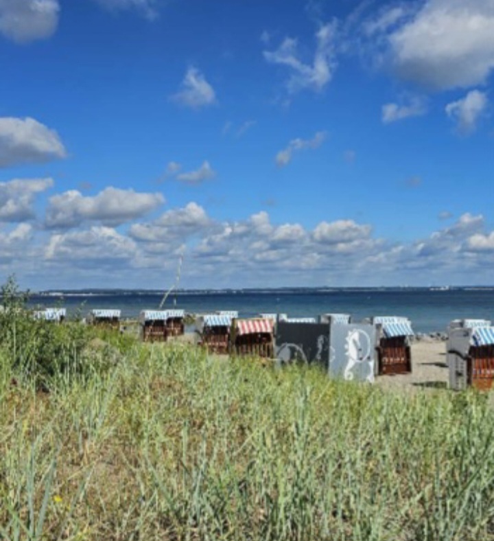 Screenshot_20251019_220316_Gallery