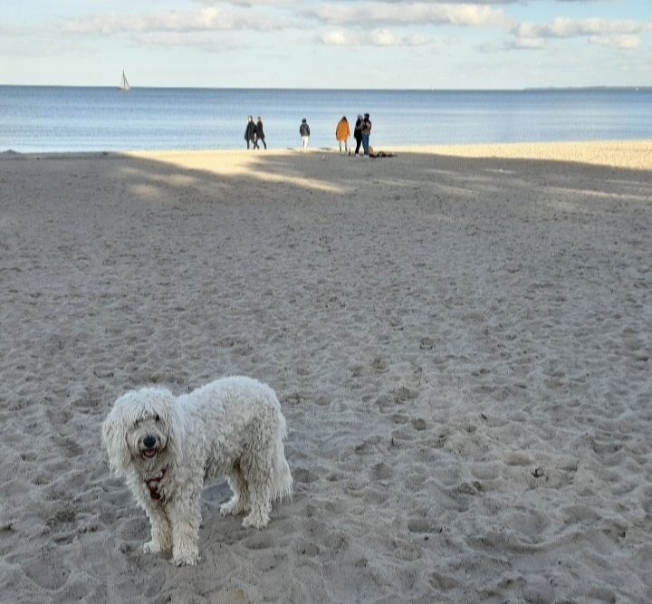 Screenshot_20251019_220406_Gallery