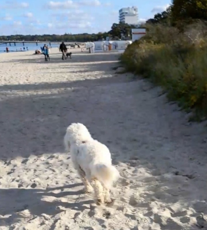 Screenshot_20251019_220431_Gallery