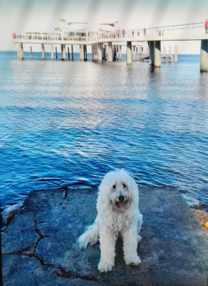 Screenshot_20251019_220542_Gallery