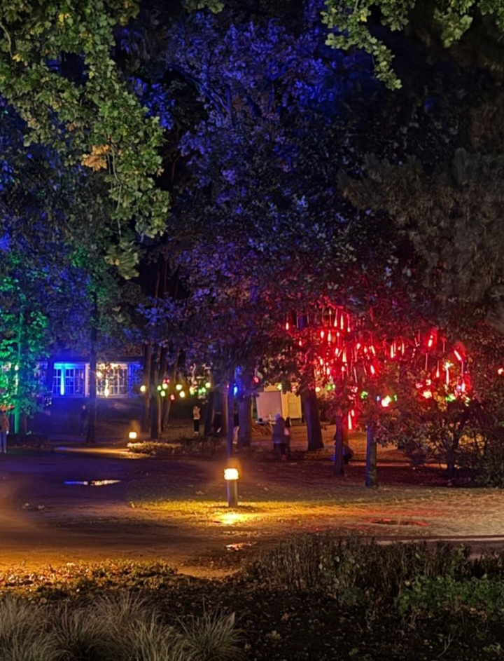 Screenshot_20251025_214142_Gallery