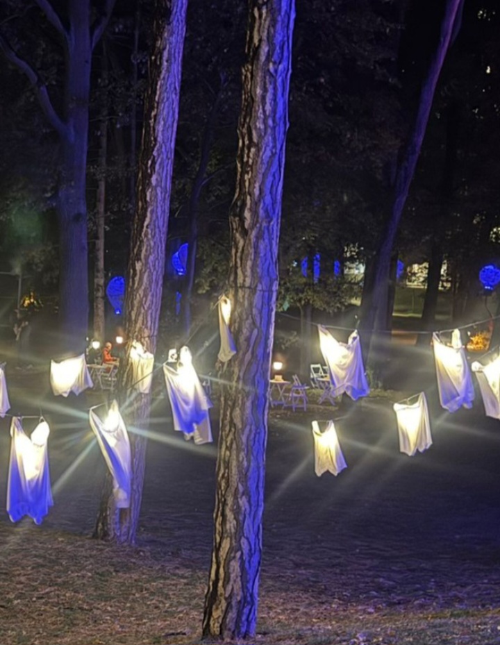 Screenshot_20251025_214231_Gallery