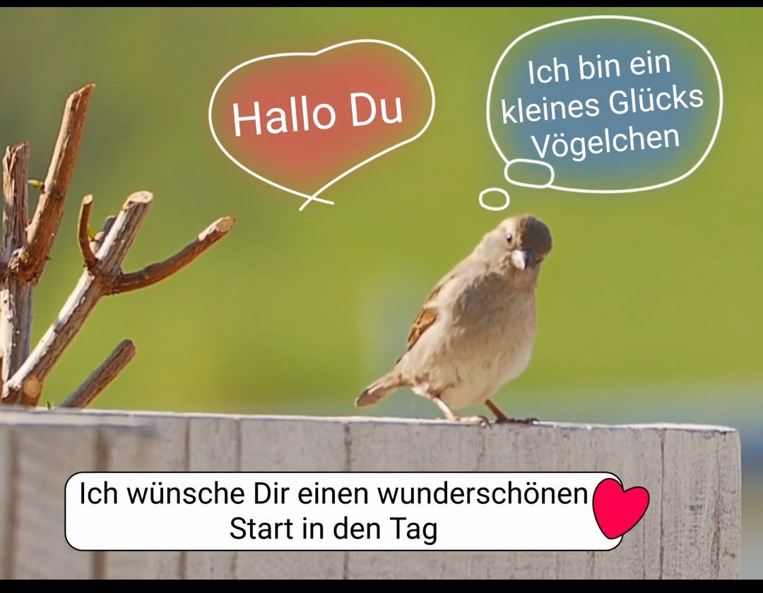 Screenshot_20251118_092524_Gallery