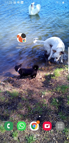 Screenshot_Startbildschirmffs