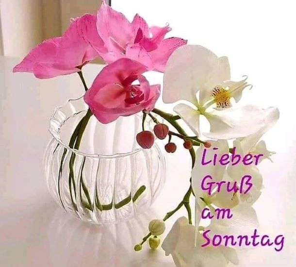 Sonntagsgruß.22