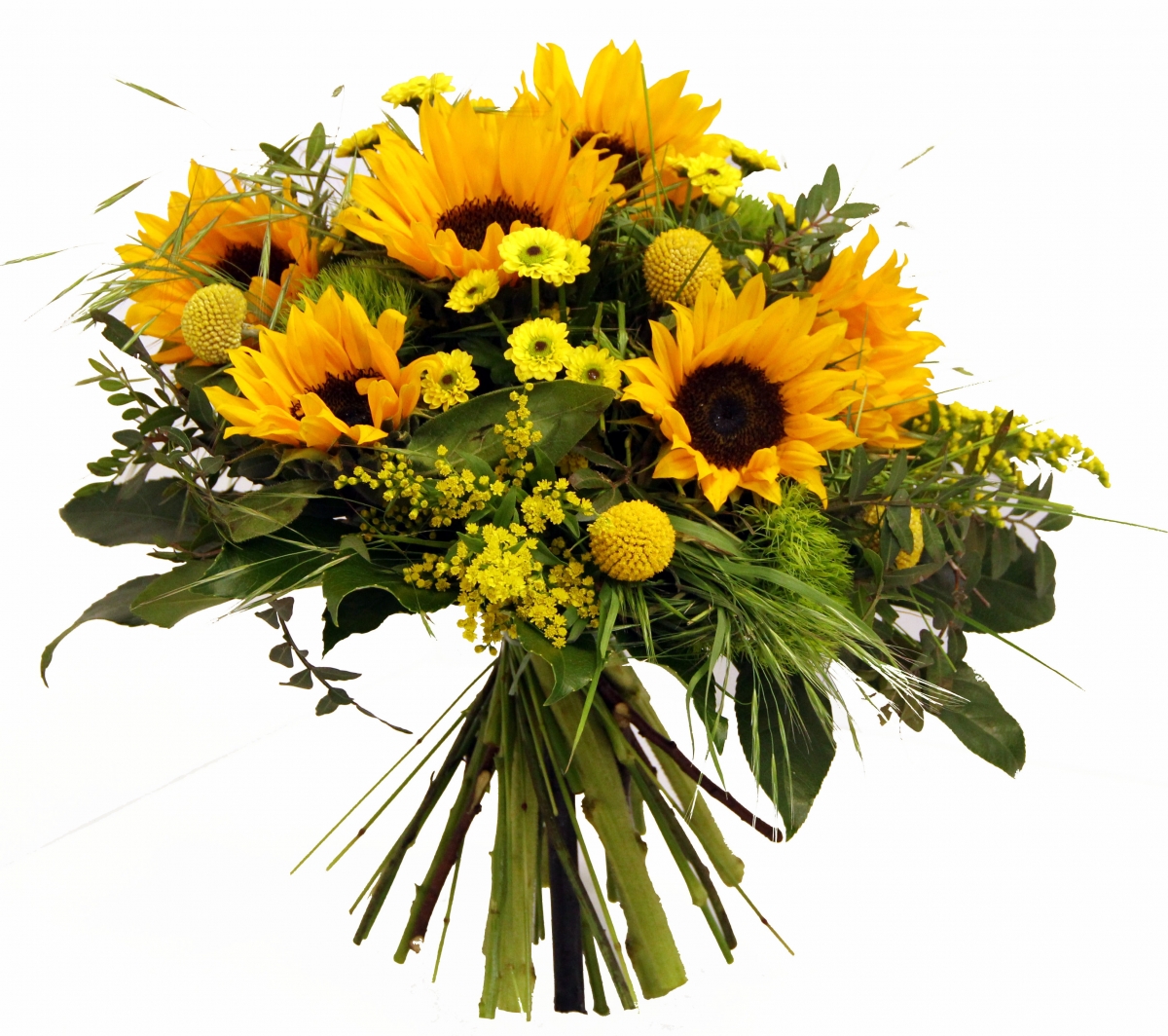 Strauss5_1-FLORATRANS_600x600@2x