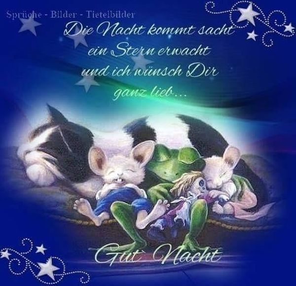 Sube-Gute-Nacht-Bilder-1