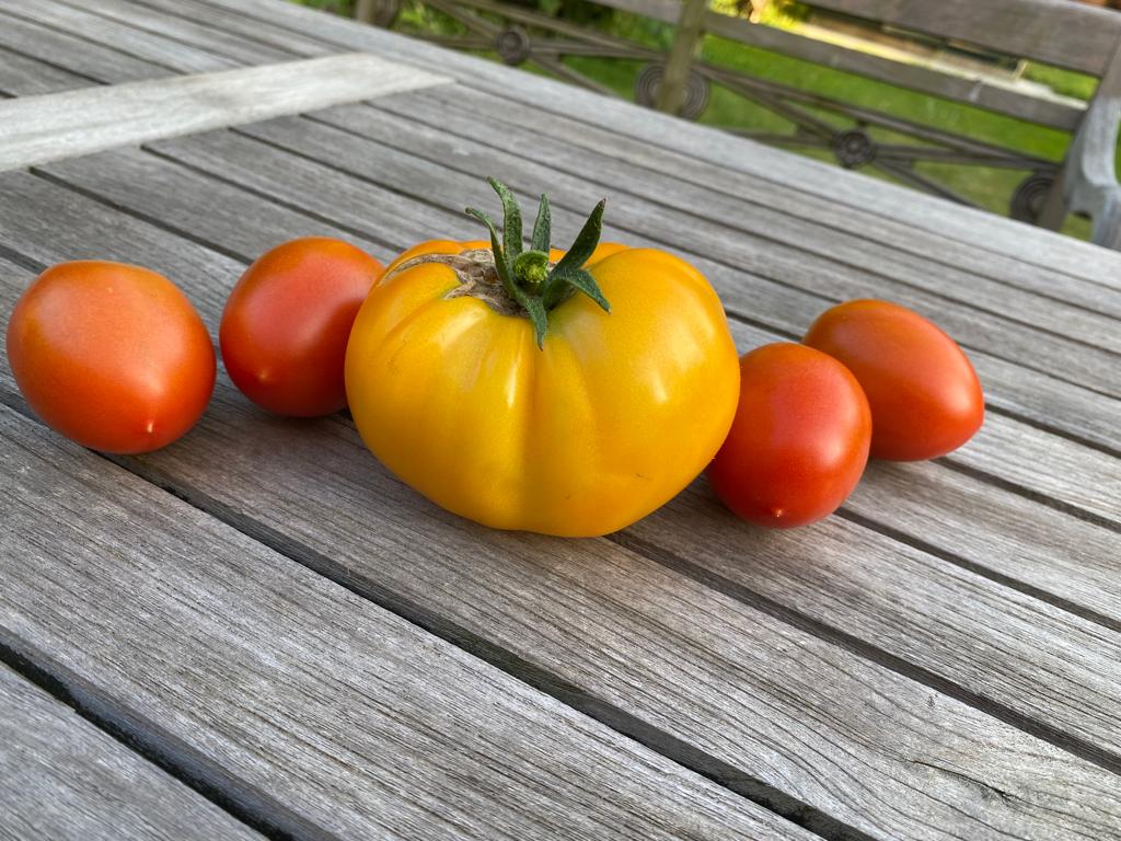 TOMATEN