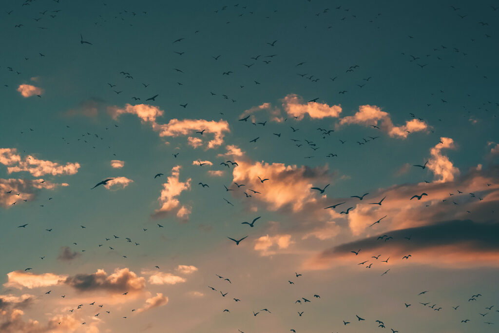 Tempel-Achtsamkeit-Kemkes-GU-Verlag-Unsplash-Aaron-Visuals-1024x683