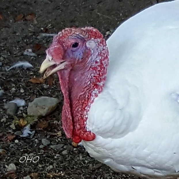 Truth-20180829_153350