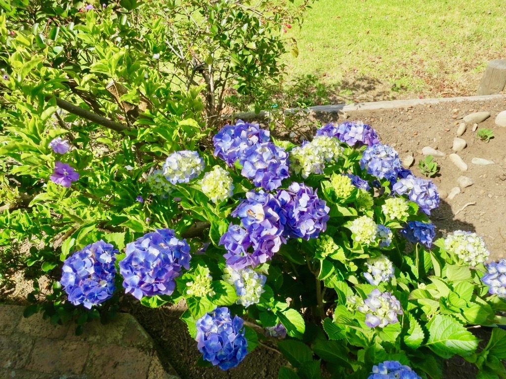 UNADJUSTEDNONRAW_thumb_4d0 (1)