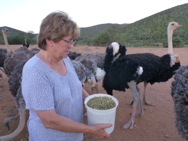 UNADJUSTEDNONRAW_thumb_d1b