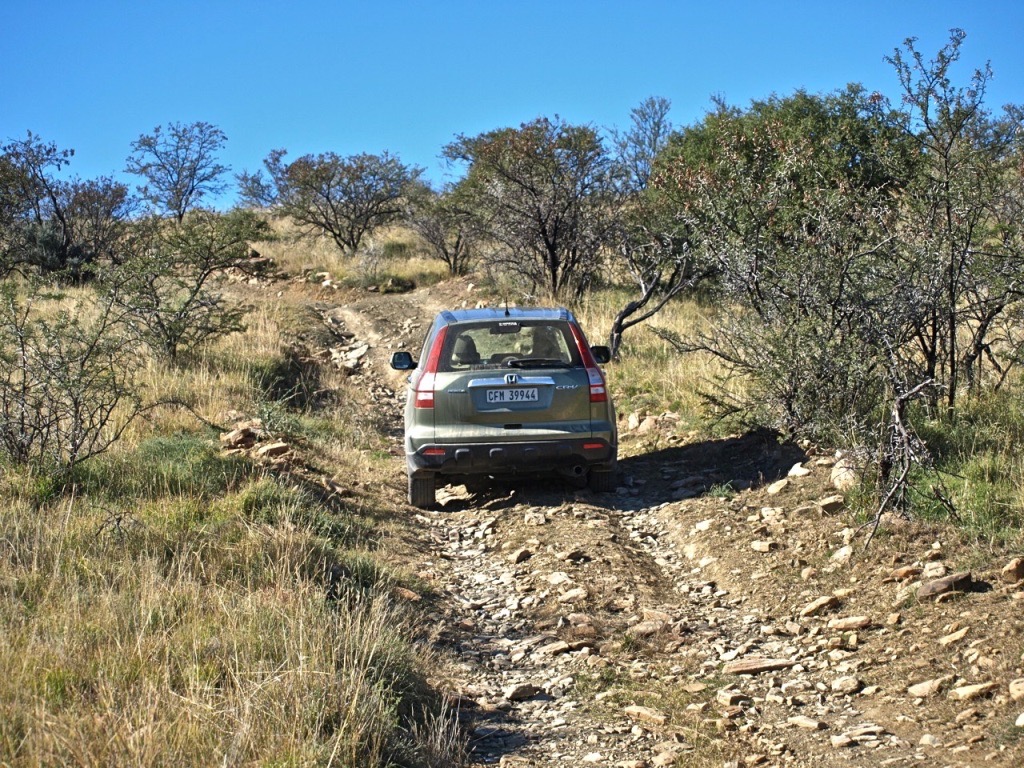 UNADJUSTEDNONRAW_thumb_d24 (3)