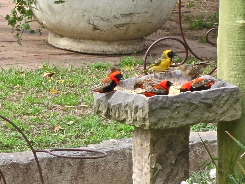 UNADJUSTEDNONRAW_thumb_e6b