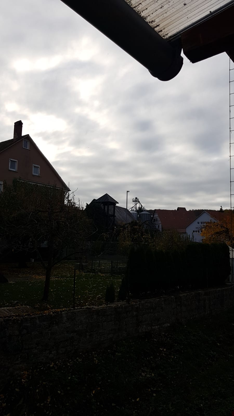 WhatsApp Image 2020-10-31 at 09.02.52