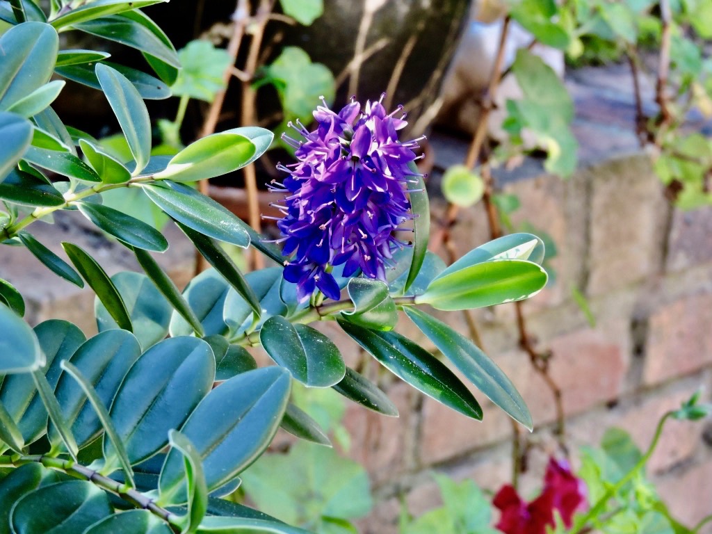 WwoWW6UXRtutEWFqE1L23A_thumb_bf3