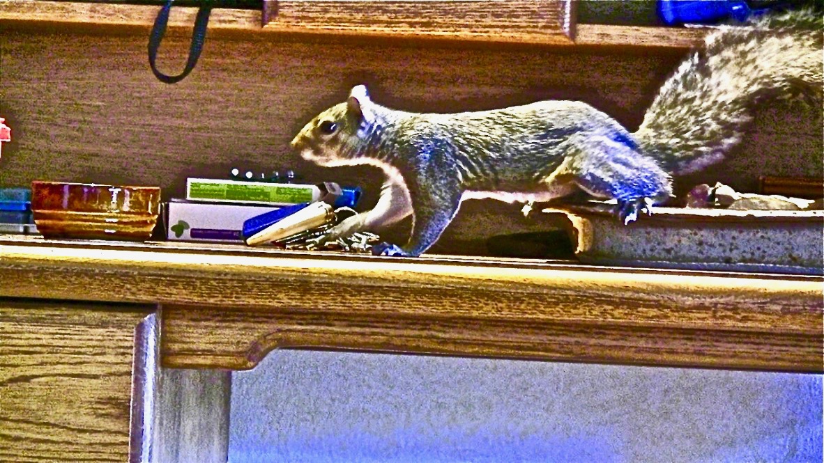 %Y89fe+GT9aEpmHnNydMXQ_thumb_e0d (1)