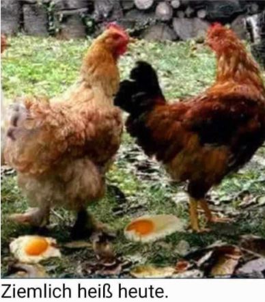 ZIEMLICH HEISS HEUTE