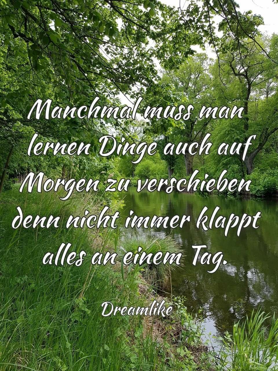 a24602063689efe143999b0a37abfdf6 (1)