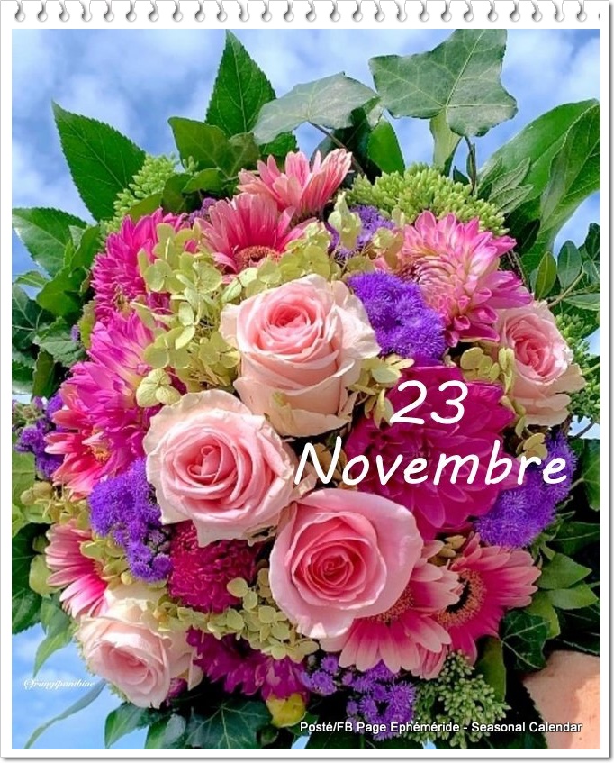 a477922fad5bc5479a84a2340f28f0cd