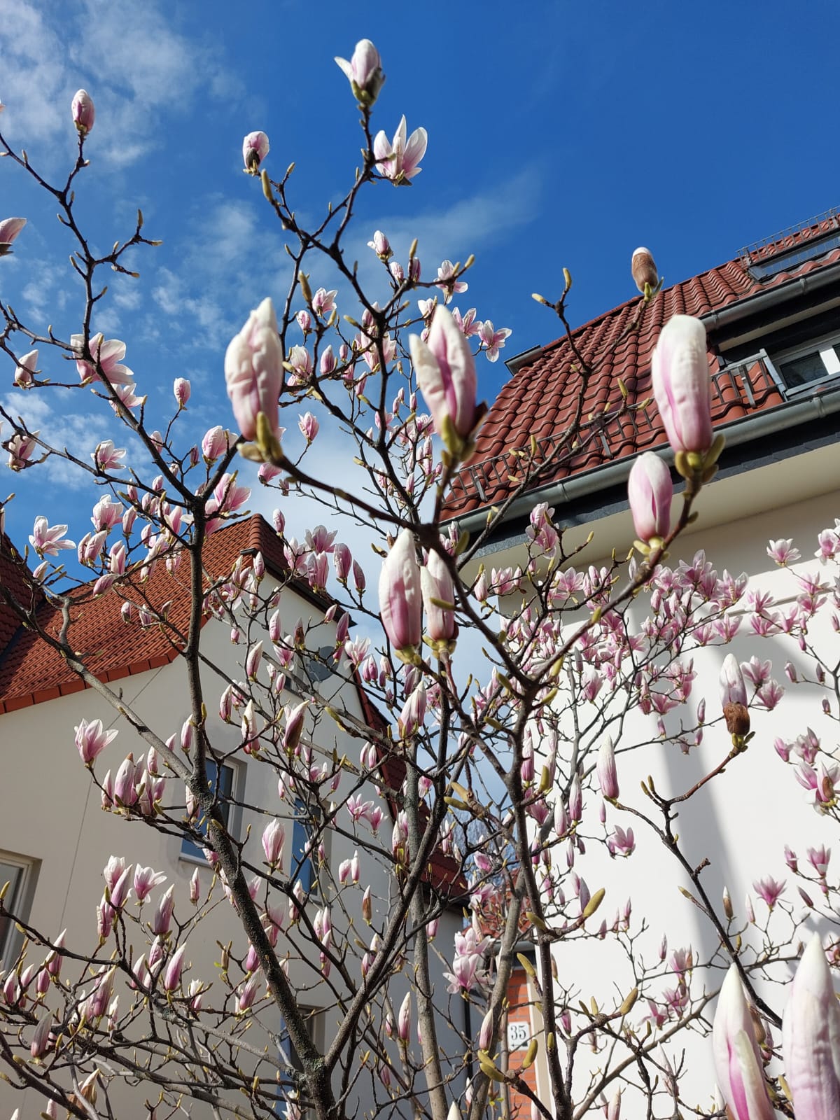 a5ab26e2-cf0b-491d-93f8-64855bf529da