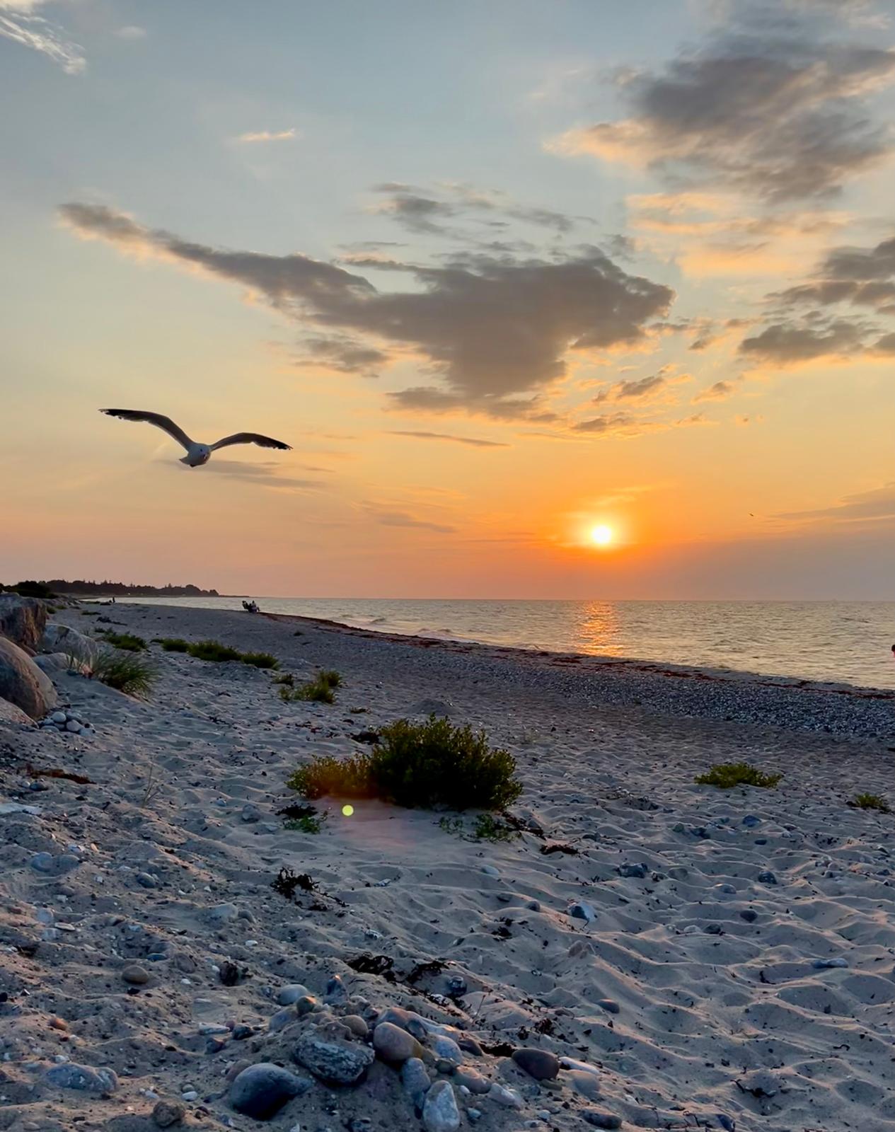 a7be6f99-a995-492c-8ffc-e7db9058f678