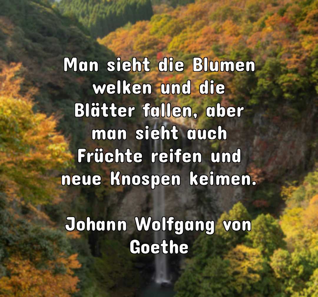 a88a45af-3bbb-11e7-8a13-408d5c84b6cb-compressed