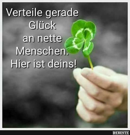 a9a56d34f6970aeeed54c5be8ce55a67