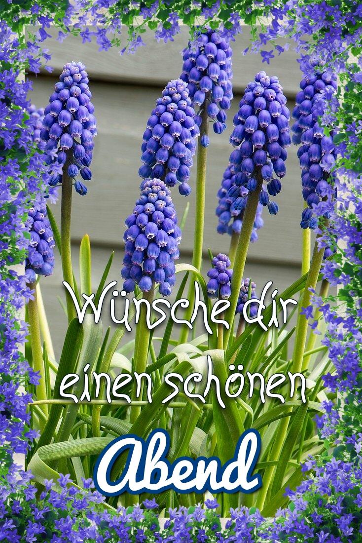 aa552e88-d3de-47b1-8191-9e616d67d7dd