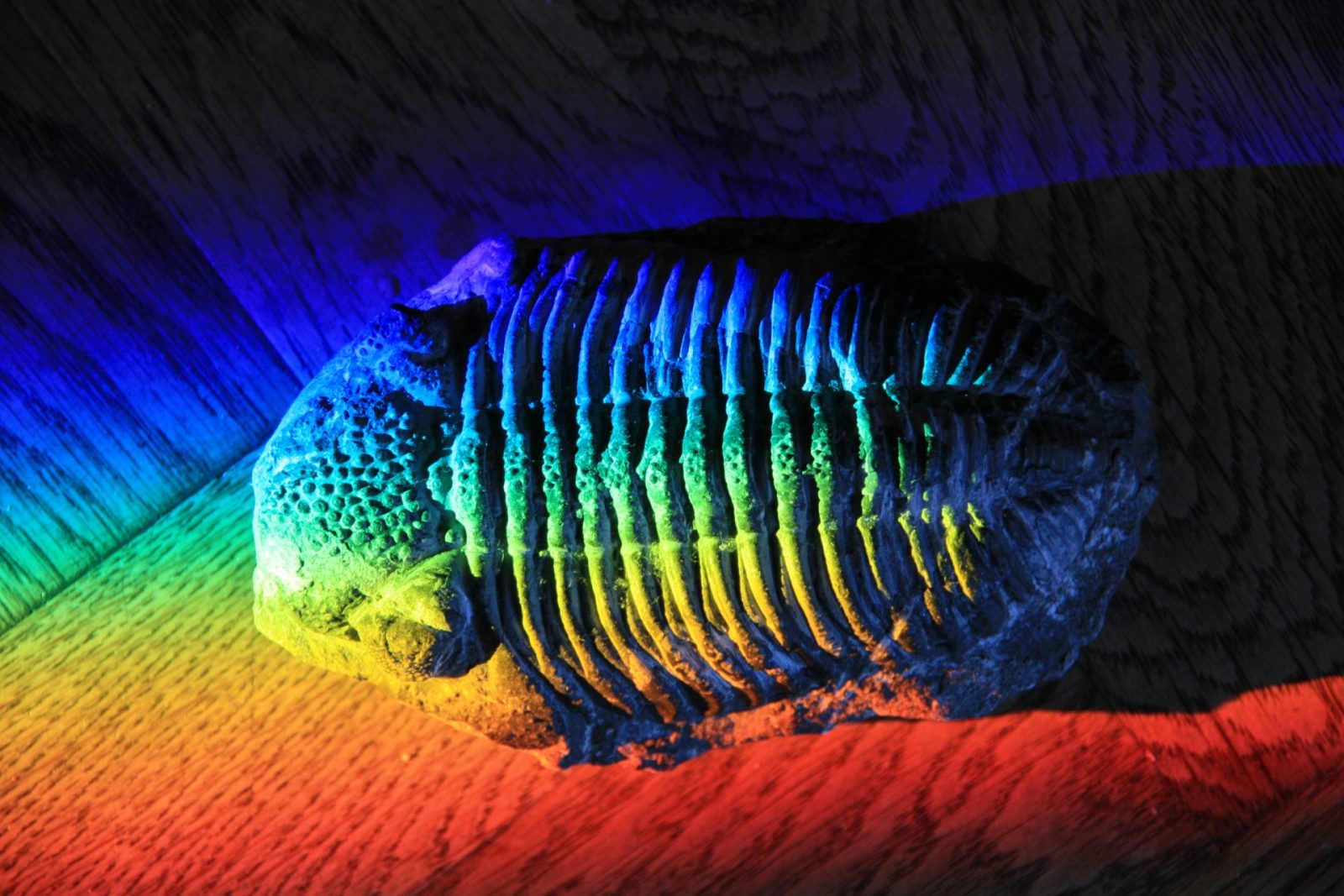 ab 12.10.2009 M.R.M. (22)