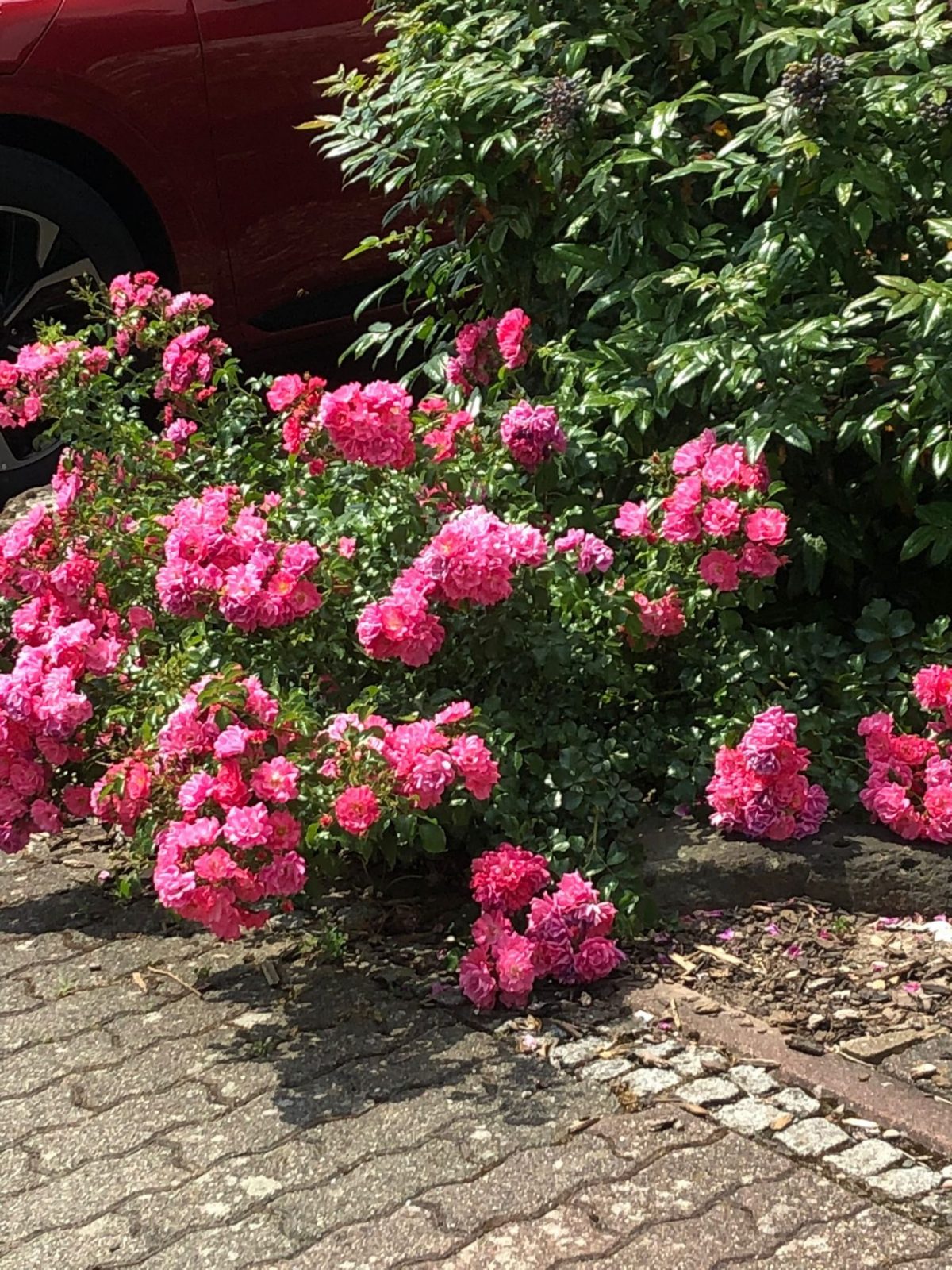 ab02d463-9b3f-4718-b21d-92edba0f9094