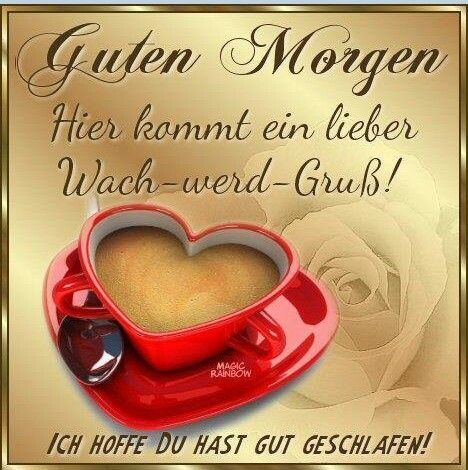 ae993f6d-f6e8-4c1d-bb0d-f00fa43a45bb