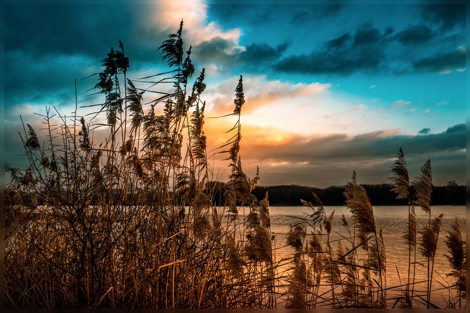 am-rhein-bei-eltville-im-dezember-a856a16c-d83a-4e95-b3e1-8ac3c7af1404