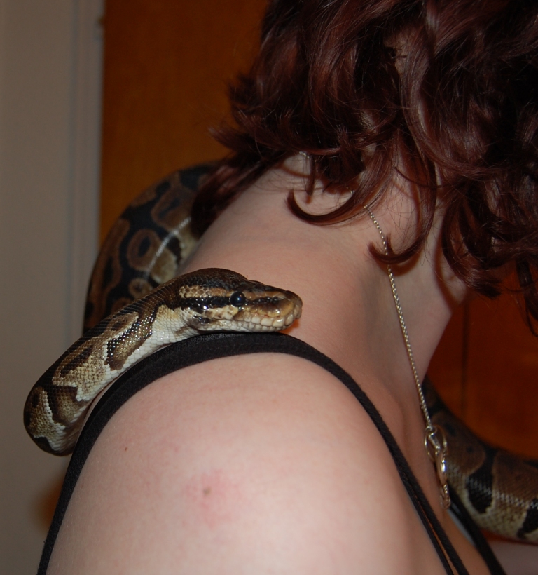 anna schlange (6)