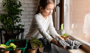 Kind zieht Gemüse auf der Fensterbank