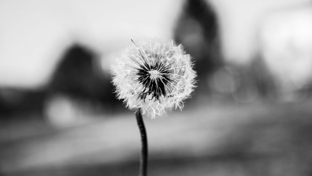 Aufrichtige Anteilnahme