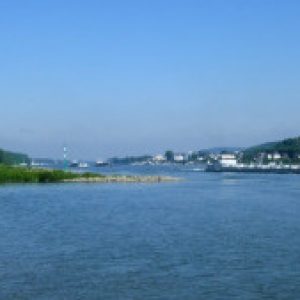 Profilbild von Kaligraph