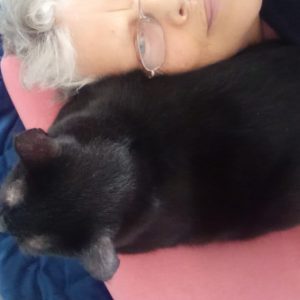 Profilbild von Soleille